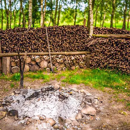 דירה 1 Bedroom Lovely In *