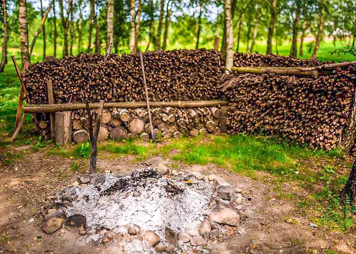 דירה 1 Bedroom Lovely In *